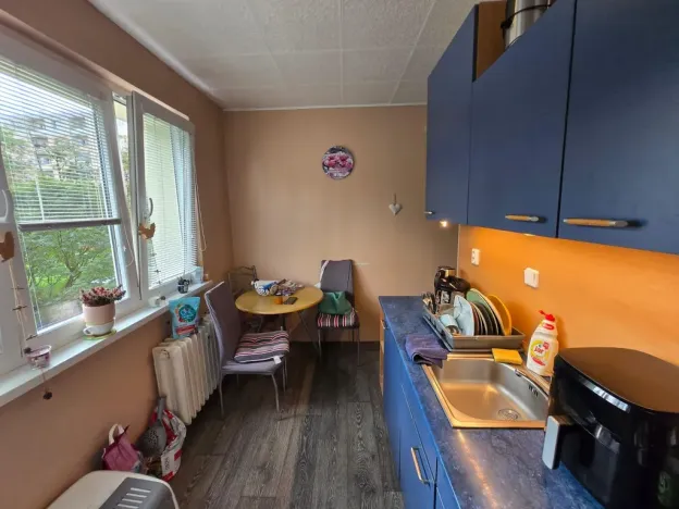 Prodej bytu 2+1, Duchcov, Bydžovského, 54 m2