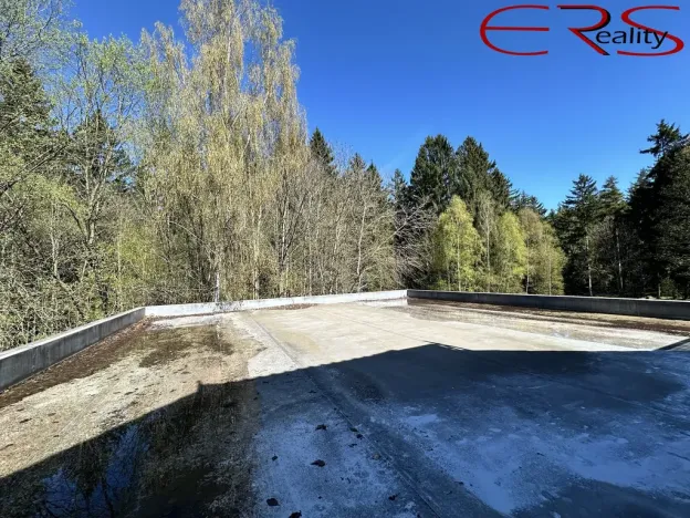 Prodej ubytování, Pěnčín - Alšovice, 394 m2