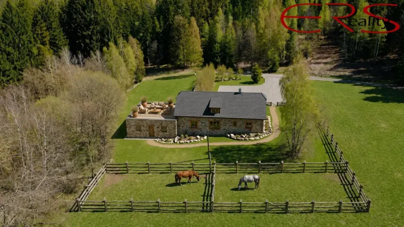 Prodej ubytování, Pěnčín - Alšovice, 394 m2