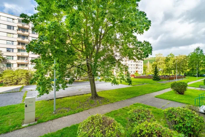 Prodej bytu 2+1, Ústí nad Labem - Severní Terasa, Werichova, 52 m2