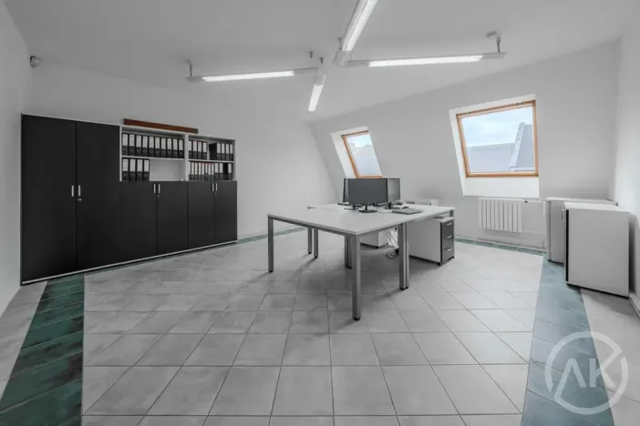 Pronájem kanceláře, Ostrava - Přívoz, Libušina, 29 m2