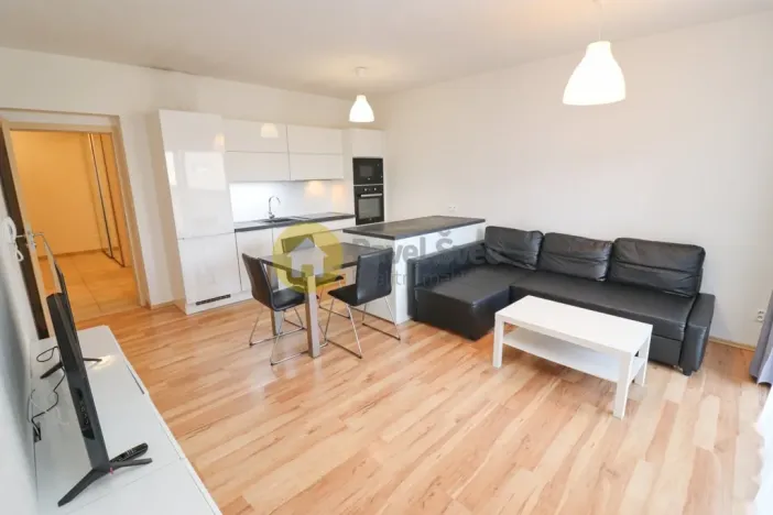 Prodej bytu 2+kk, Plzeň - Bolevec, U Velkého rybníka, 57 m2