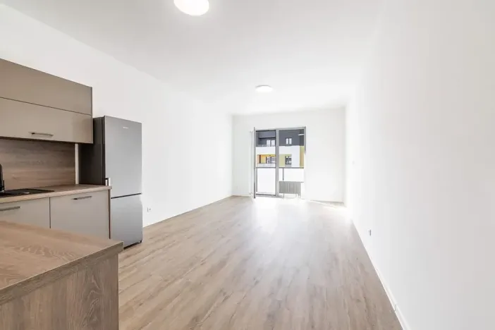 Prodej bytu 1+kk, České Budějovice, U Branišovského lesa, 46 m2