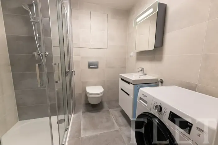 Pronájem bytu 1+kk, Praha - Žižkov, Hartigova, 36 m2