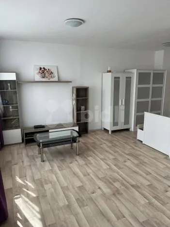 Pronájem bytu 1+kk, Praha - Záběhlice, Topolová, 31 m2