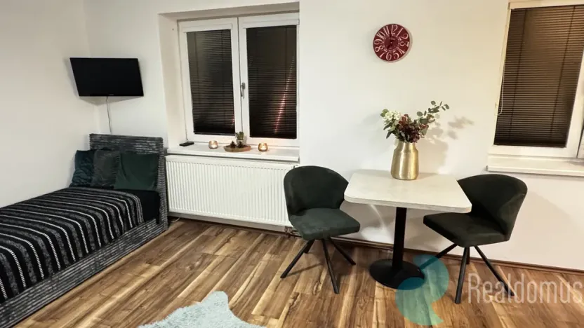 Pronájem bytu 1+kk, České Budějovice, Boh. Kafky, 29 m2