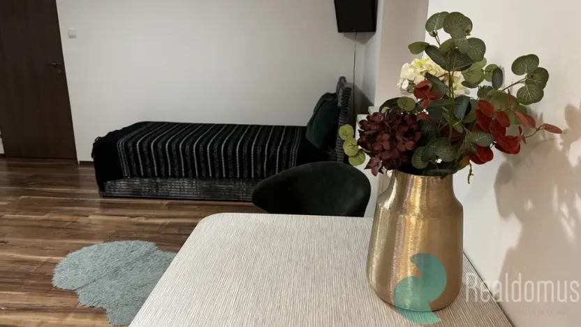 Pronájem bytu 1+kk, České Budějovice, Boh. Kafky, 29 m2