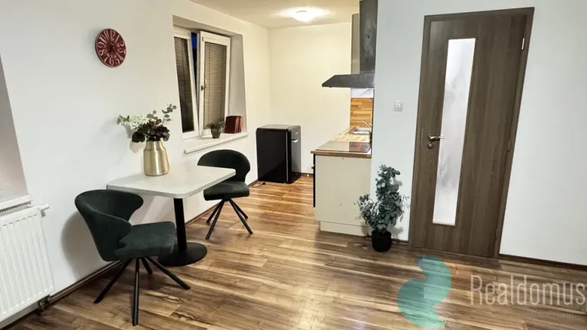 Pronájem bytu 1+kk, České Budějovice, Boh. Kafky, 29 m2