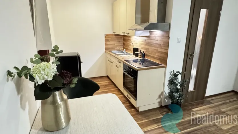 Pronájem bytu 1+kk, České Budějovice, Boh. Kafky, 29 m2
