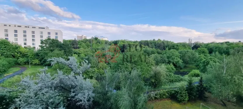 Pronájem bytu 1+1, Praha - Záběhlice, Choceradská, 54 m2