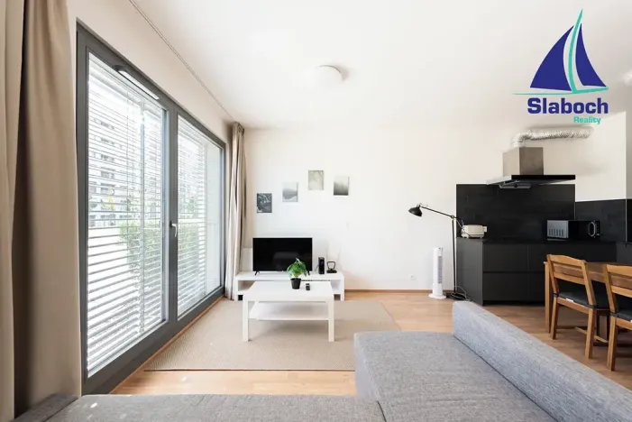Pronájem bytu 1+kk, Praha - Karlín, Breitfeldova, 45 m2