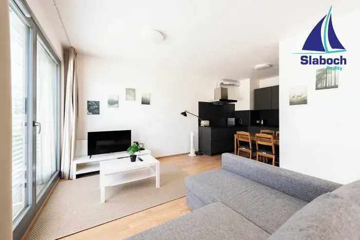 Pronájem bytu 1+kk, Praha - Karlín, Breitfeldova, 45 m2