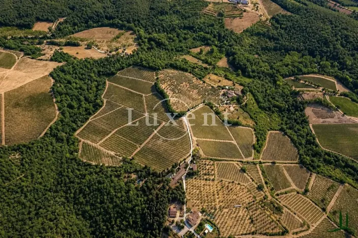Prodej vily, Castellina in Chianti, Itálie, 1130 m2