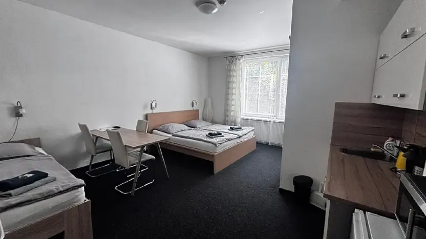 Pronájem bytu 1+kk, Ostrava, Zalužanského, 25 m2