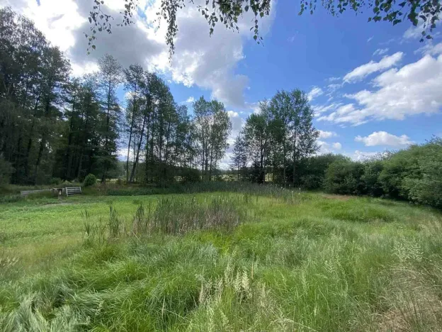 Prodej louky, Trhové Sviny - Otěvěk, 10951 m2
