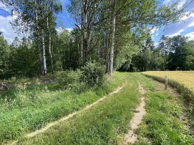Prodej louky, Trhové Sviny - Otěvěk, 10951 m2