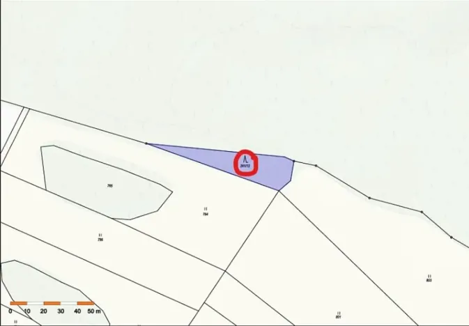 Prodej lesa, Ždírec nad Doubravou, 900 m2