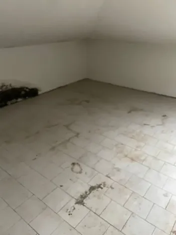Prodej rodinného domu, Rosice, U Sýpky, 345 m2