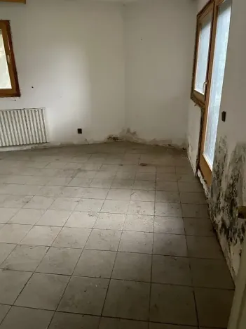 Prodej rodinného domu, Rosice, U Sýpky, 345 m2