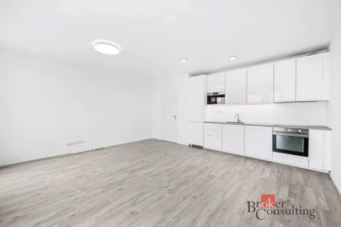 Prodej bytu 1+kk, Plzeň - Jižní Předměstí, Železná, 46 m2