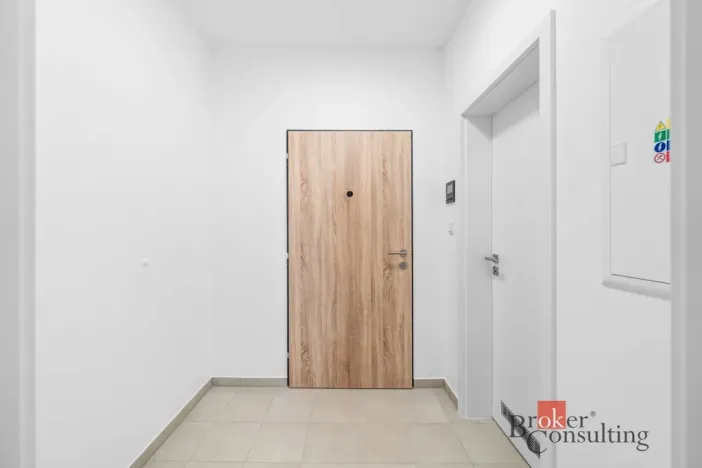 Prodej bytu 1+kk, Plzeň - Jižní Předměstí, Železná, 46 m2