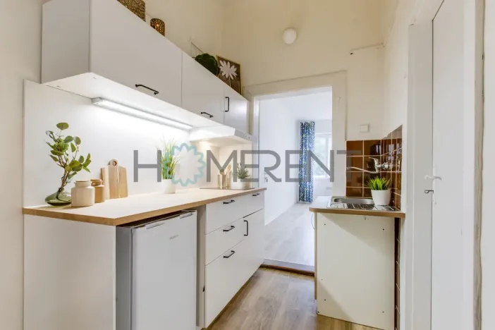 Pronájem bytu 2+1, Praha - Žižkov, Jeseniova, 44 m2