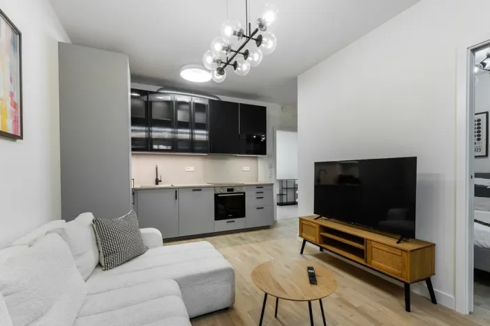 Prodej bytu 2+kk, Praha - Žižkov, Kaplířova, 45 m2