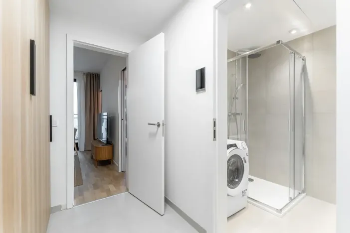 Prodej bytu 2+kk, Praha - Žižkov, Hartigova, 44 m2