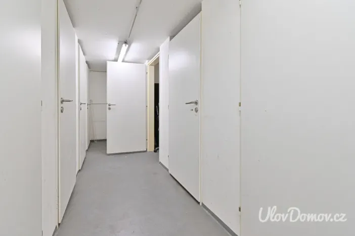 Prodej bytu 2+kk, Praha - Břevnov, Bělohorská, 46 m2