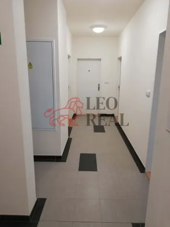 Pronájem bytu 1+kk, Benešov, Karla Nového, 35 m2