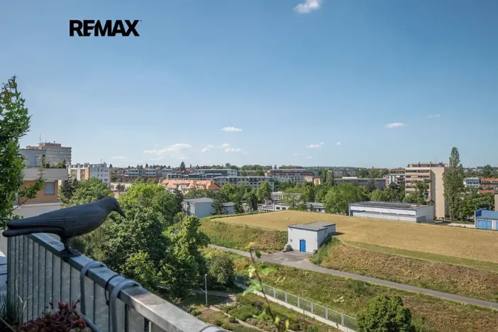 Prodej bytu 2+kk, Praha - Žižkov, Pod lipami, 45 m2