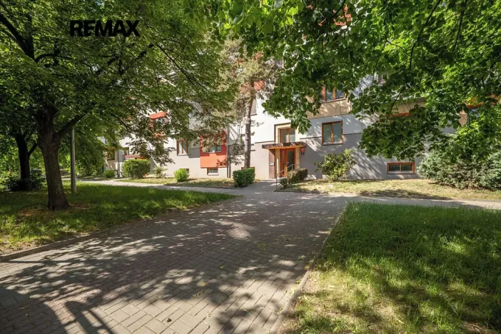 Prodej bytu 2+kk, Praha - Žižkov, Pod lipami, 45 m2