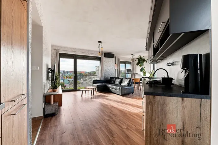 Pronájem bytu 2+kk, Plzeň - Východní Předměstí, Papírnická, 63 m2