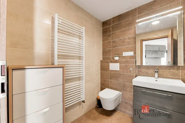 Pronájem bytu 2+kk, Plzeň - Východní Předměstí, Papírnická, 63 m2