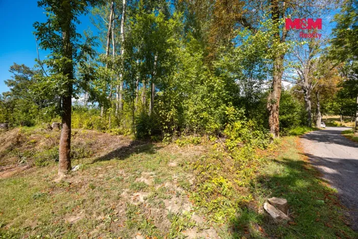 Prodej pozemku pro bydlení, Červená Voda, 2103 m2