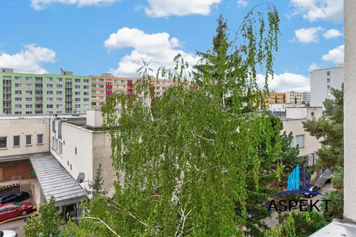 Pronájem bytu 3+kk, Mladá Boleslav - Mladá Boleslav II, Jana Palacha, 83 m2