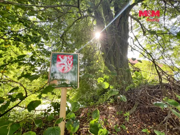 Prodej rodinného domu, Kostelec nad Černými lesy - Kostelec nad Černými Lesy, 750 m2