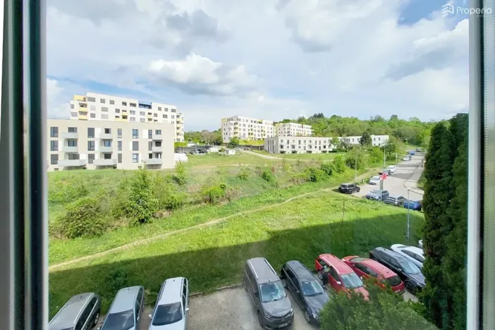 Prodej bytu 2+1, Brno, Došlíkova, 52 m2