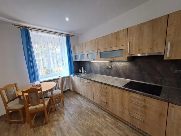 Pronájem bytu 4+1, Ústí nad Labem - Klíše, Palachova, 104 m2