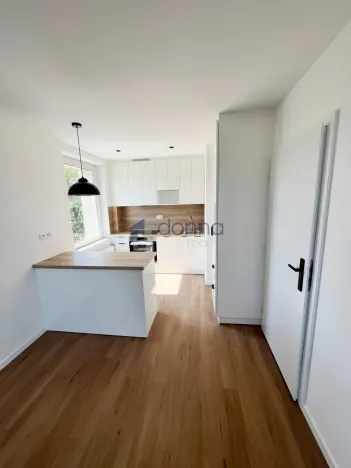 Pronájem bytu 2+kk, Praha, Mezipolí, 48 m2