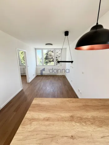 Pronájem bytu 2+kk, Praha, Mezipolí, 48 m2