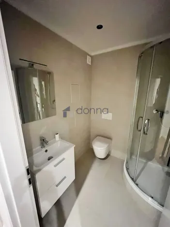 Pronájem bytu 2+kk, Praha, Mezipolí, 48 m2