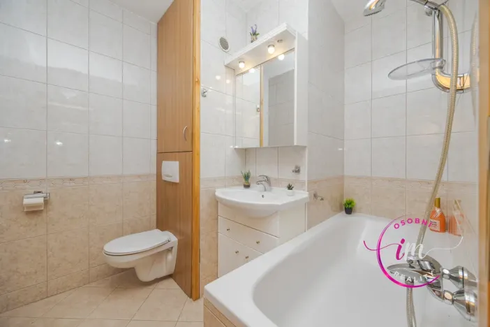 Pronájem bytu 1+1, Jihlava, Březinova, 36 m2