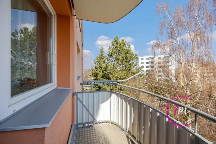 Pronájem bytu 1+1, Jihlava, Březinova, 36 m2