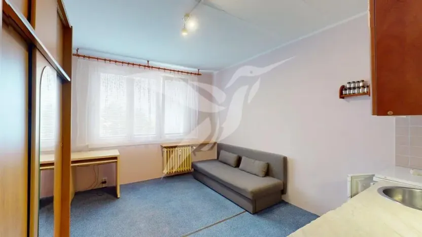 Pronájem bytu 1+kk, Plzeň, Skupova, 20 m2