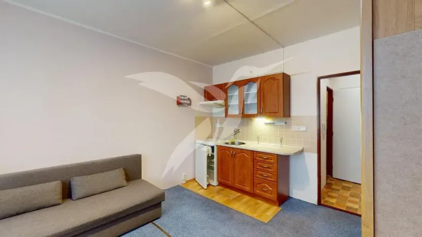 Pronájem bytu 1+kk, Plzeň, Skupova, 20 m2
