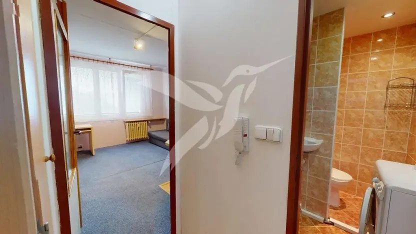 Pronájem bytu 1+kk, Plzeň, Skupova, 20 m2
