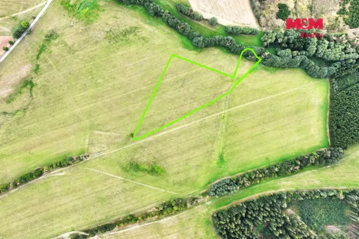 Prodej louky, Zubří, 48750 m2