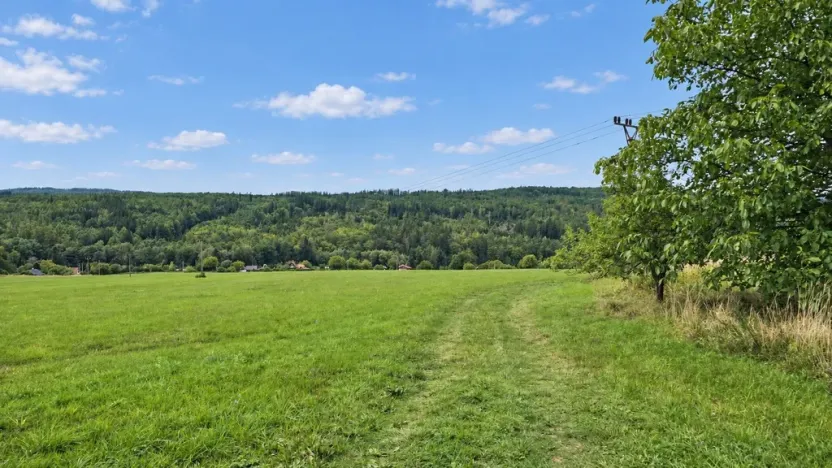 Prodej louky, Nový Jáchymov, 4579 m2