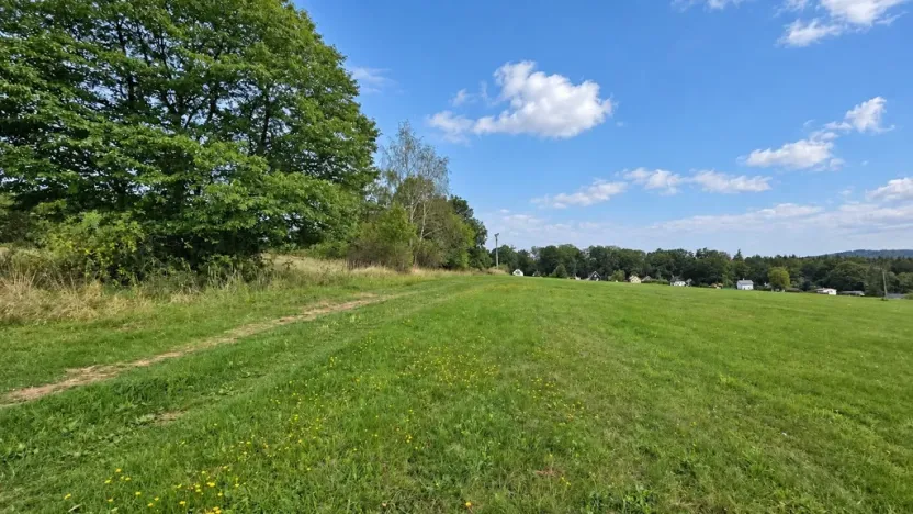 Prodej louky, Nový Jáchymov, 4579 m2